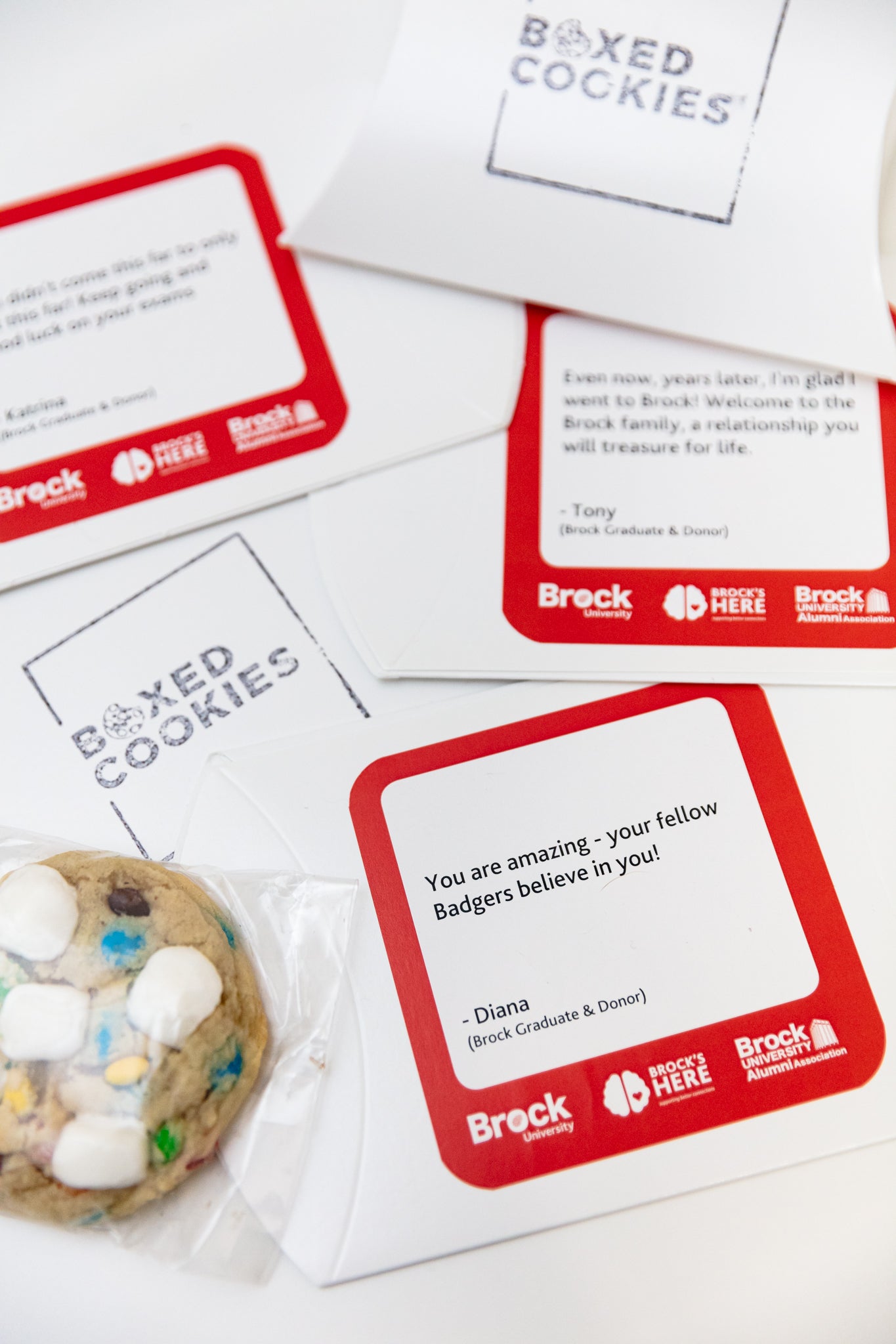 Cookies for Corporate, Catering & Special Events – BOXED COOKIES